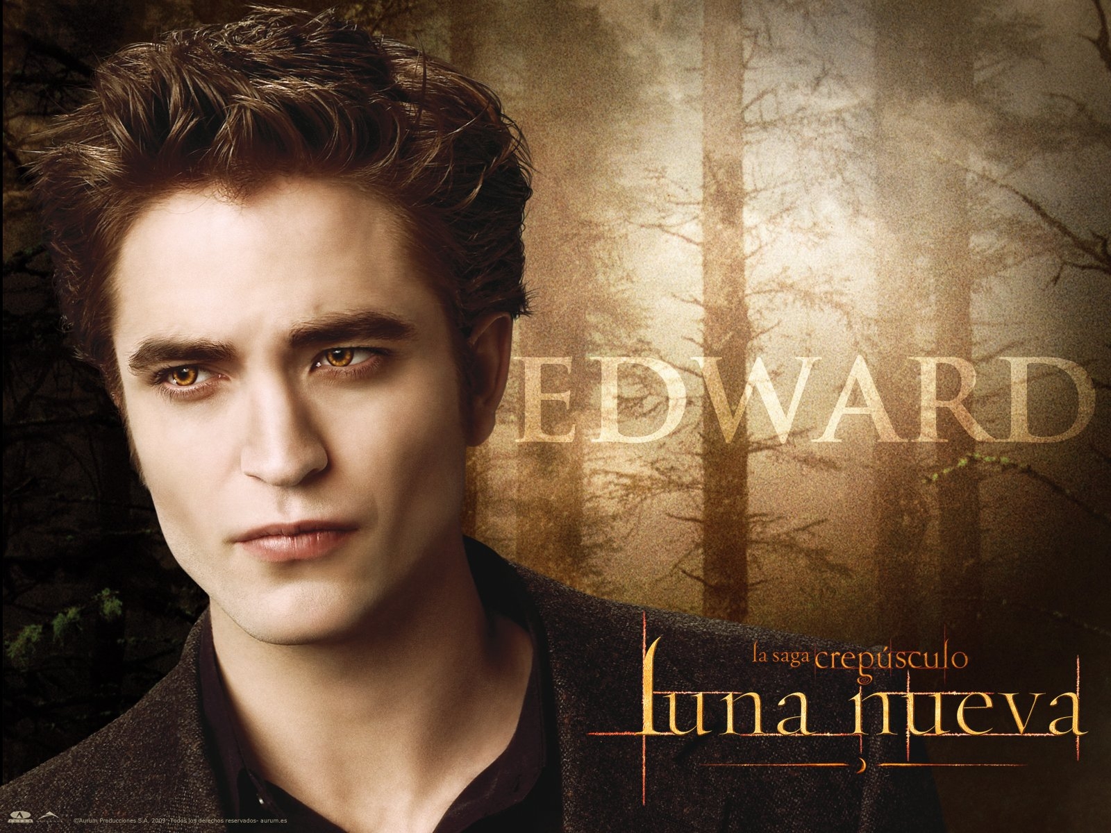 The-Twilight-Saga-New-Moon-Wallpapers-0022-1600 -  4  